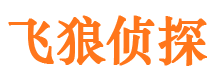 金湖市侦探调查公司